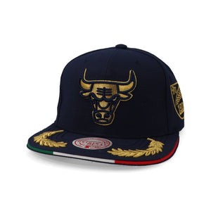 MITCHELL & NESS NBA FORMULA 1 BULLS