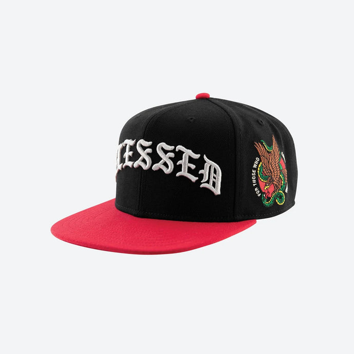 DGK SNAPBACK GUERRERO