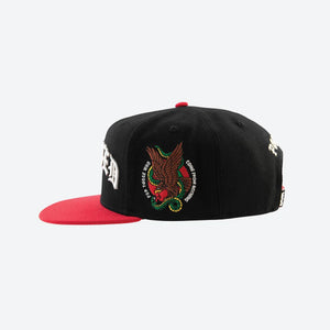 DGK SNAPBACK GUERRERO