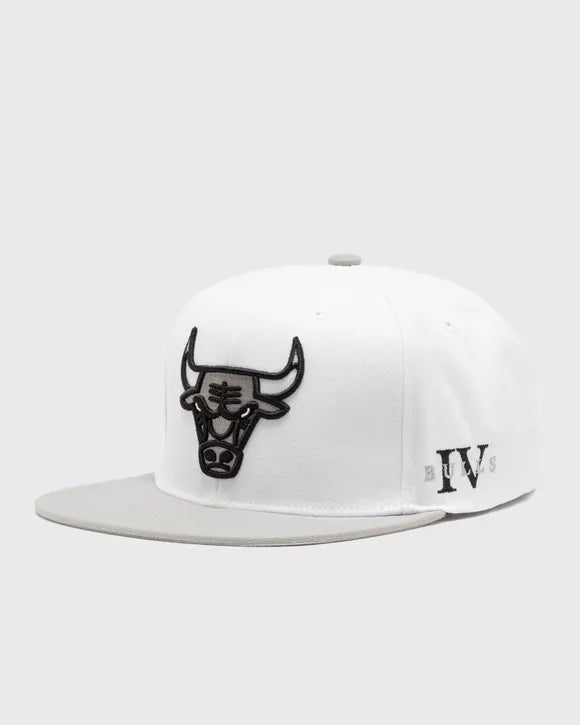 MITCHELL & NESS NBA BULLS CORE IV