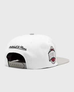 MITCHELL & NESS NBA BULLS CORE IV