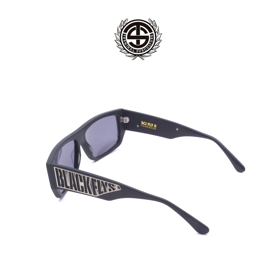 Gafas de ventisca Snowboard Black Flys Fly Traxx